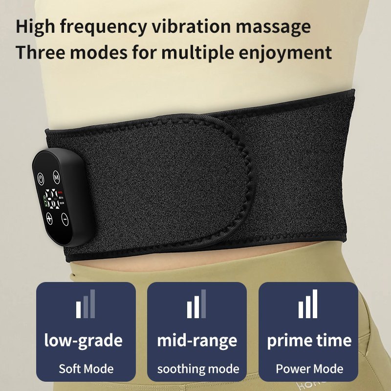 Vibratory Heat Massage Professional Waist Care