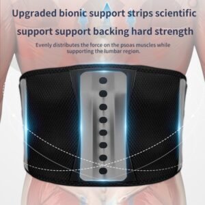 Vibratory Heat Massage Professional Waist Care